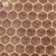 Leprino, Franco: Integrati Disintegrati (Vinyl LP)