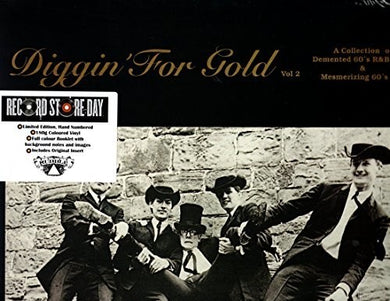 Various Artists: Diggin For Gold Volume 2 (Various Artists) (Vinyl LP)