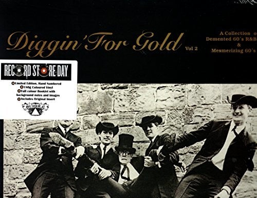 Various Artists: Diggin For Gold Volume 2 (Various Artists) (Vinyl LP)
