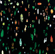 Sugai Ken: On The Quakefish (Vinyl LP)