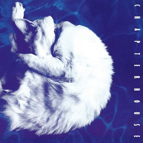 Chapterhouse: Whirlpool [Limited Blue & Silver Marble Colored Vinyl] (Vinyl LP)