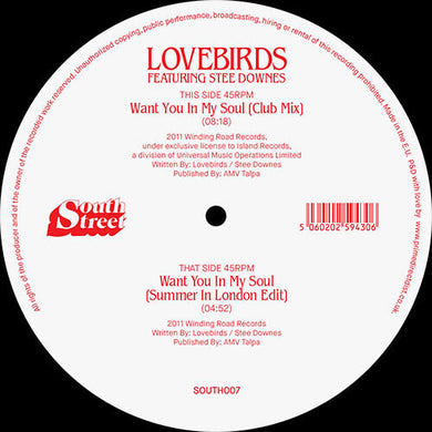 Want You In My Soulby Lovebirds / Downes, Stee (Vinyl Record)