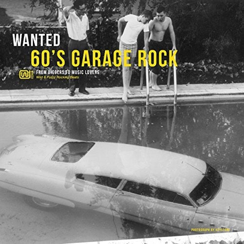 Various Artists: Wanted 60's Garage Rock / Various (Vinyl LP)