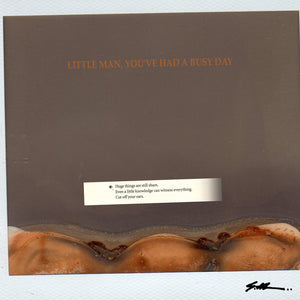 S.Al: Little Man You've Had A Busy Day (Vinyl LP)