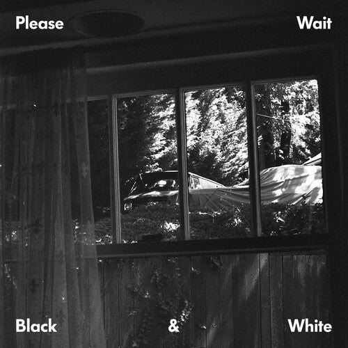 Please Wait (Ta-Ku & Matt McWaters): Black & White (Vinyl LP)