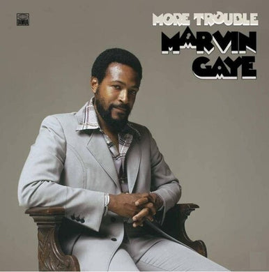 Gaye, Marvin: More Trouble (Vinyl LP)