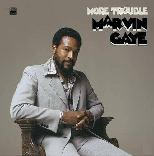 Gaye, Marvin: More Trouble (Vinyl LP)