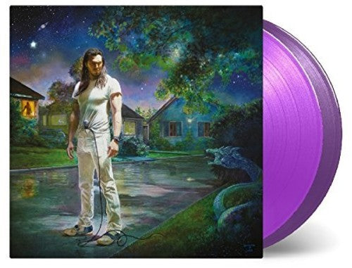 Andrew Wk: You're Not Alone (Vinyl LP)