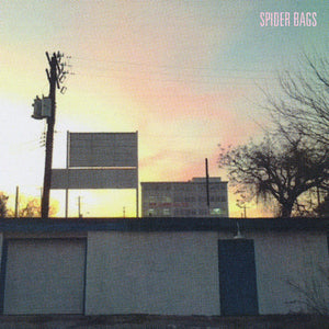 Spider Bags: Someday Everything Will Be Fine (Vinyl LP)