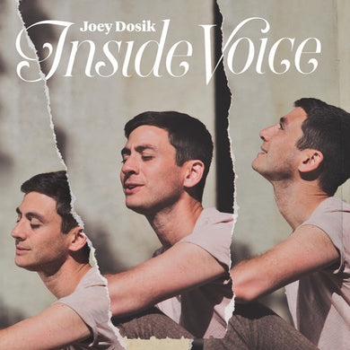 Dosik, Joey: Inside Voice (stone White Vinyl) (Vinyl LP)