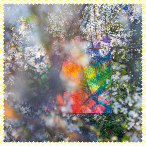 Four Tet: Sixteen Oceans (Vinyl LP)