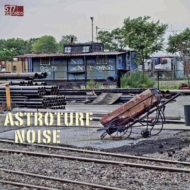Astroturf Noise: Astroturf Noise (Vinyl LP)