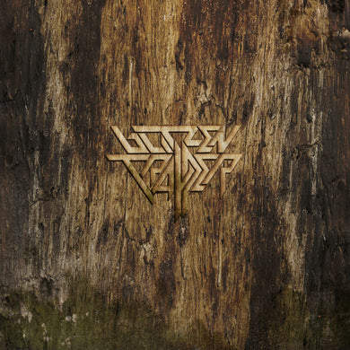 Blitzen Trapper: Furr (Vinyl LP)