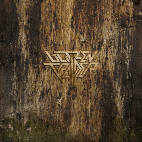 Blitzen Trapper: Furr (Vinyl LP)