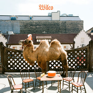 Wilco: Wilco (Vinyl LP)