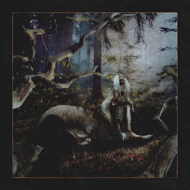 Sweatshirt, Earl: Feet Of Clay (Vinyl LP)