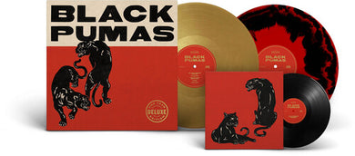 Black Pumas: Black Pumas (Vinyl LP)