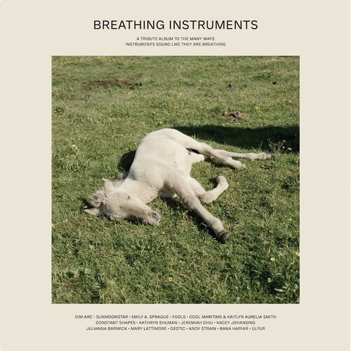 Breathing Instruments / Various: Breathing Instruments (Various Artists) (Vinyl LP)