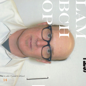 Lambchop: This (Is What I Wanted to Tell You) (Vinyl LP)