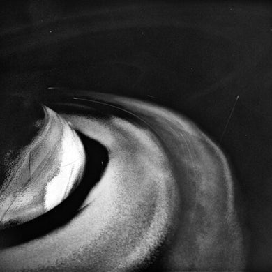 Finneas: What They'll Say About Us (7-Inch Single)