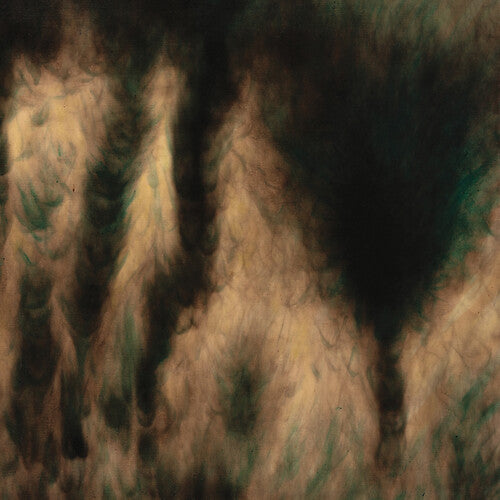 Basinski, William: Lamentations (Vinyl LP)