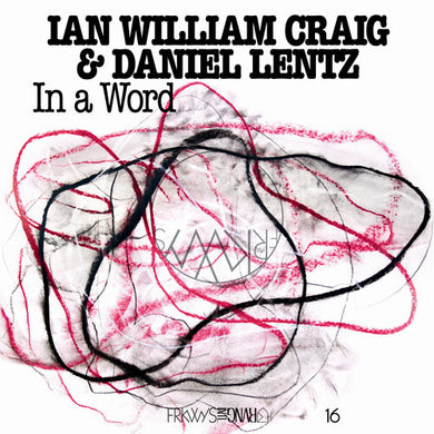 Craig, Ian William / Lentz, Daniel: In A Word' (Vinyl LP)