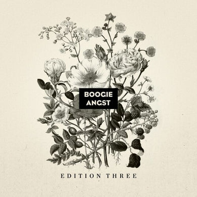 Boogie Angst: Edition Three / Various: Boogie Angst: Edition Three (Various Artists) (Vinyl LP)