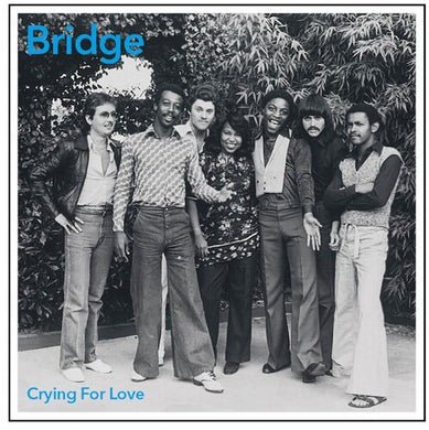 The Bridge: Crying For Love (Vinyl LP)