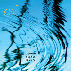 Liebman, Dave / Rudolph, Adam / Drake, Hamid: Chi (Vinyl LP)