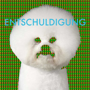 Entschuldigung: Entschuldigung (12-Inch Single)