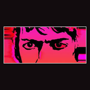 Delicate Steve: Till I Burn Up (Vinyl LP)