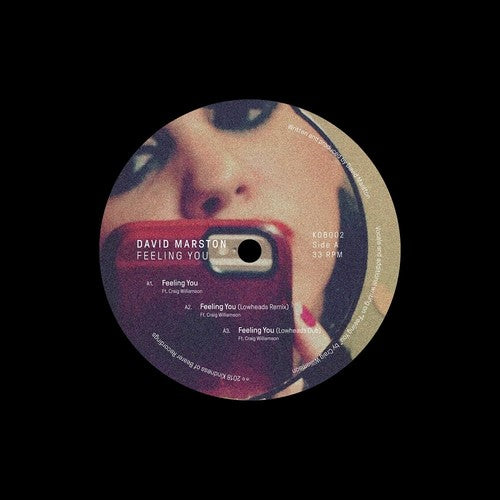 Marston, David: Feeling You (12-Inch Single)