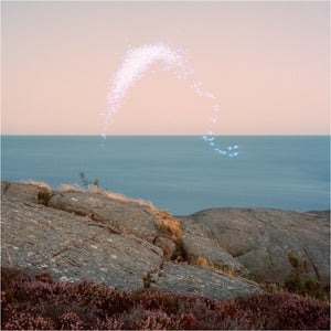 Jenkins, Cassandra: An Overview on Phenomenal Nature (Vinyl LP)