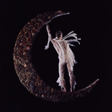 Smerz: Believer (Vinyl LP)