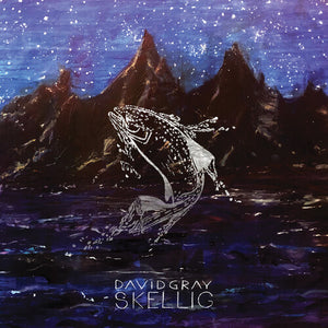David Gray: Skellig (Vinyl LP)