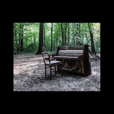Eye of Time: Acoustic II (Vinyl LP)