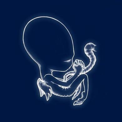 Sigur Ros: Agaetis Byrjun (Vinyl LP)