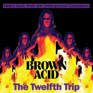 Brown Acid - the Twelfth Trip / Various: Brown Acid - The Twelfth Trip (Various Artists) (Vinyl LP)