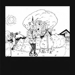 Teen Suicide: It's the Big Joyous Celebration Let's Stir the Honeypot (Vinyl LP)