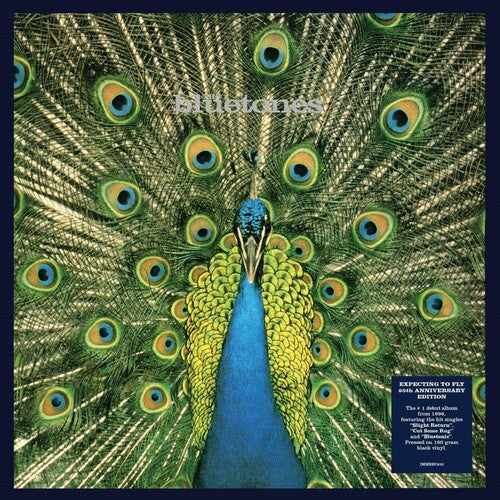Bluetones: Expecting To Fly: 25th Anniversary [Gatefold 180-Gram Black Vinyl] (Vinyl LP)