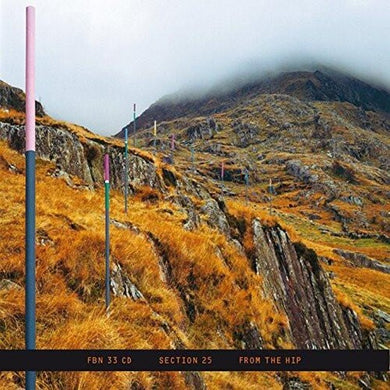 Section 25: From The Hip (Deluxe Edition) (Vinyl LP)