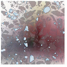Avulsions: Expanding Program (Vinyl LP)