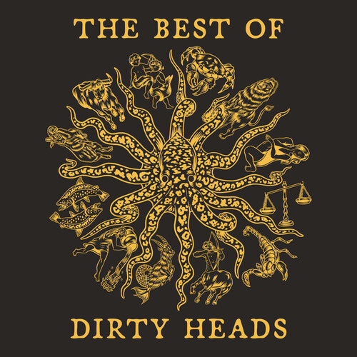 Dirty Heads: The Best Of Dirty Heads - Fools Gold (Vinyl LP)