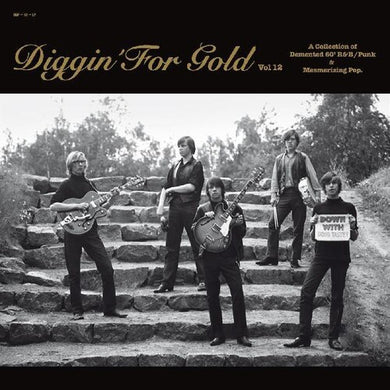 Various Artists: Diggin' For Gold 12 (Various Artists) (Vinyl LP)