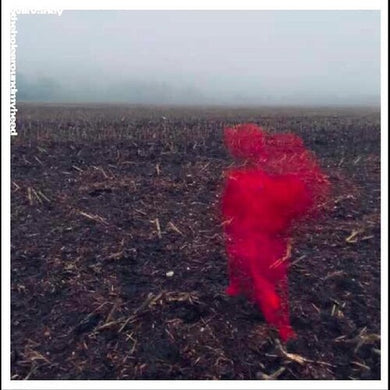 Varley, Will: The Hole Around My Head (Vinyl LP)