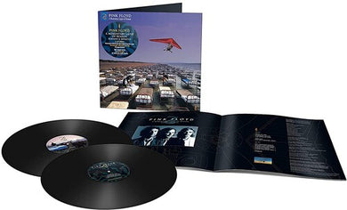 Pink Floyd: A Momentary Lapse Of Reason (Vinyl LP)