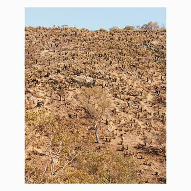 Pekler, Andrew & Ielasi, Giuseppe: Palimpsests (Vinyl LP)