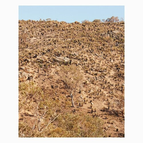 Pekler, Andrew & Ielasi, Giuseppe: Palimpsests (Vinyl LP)