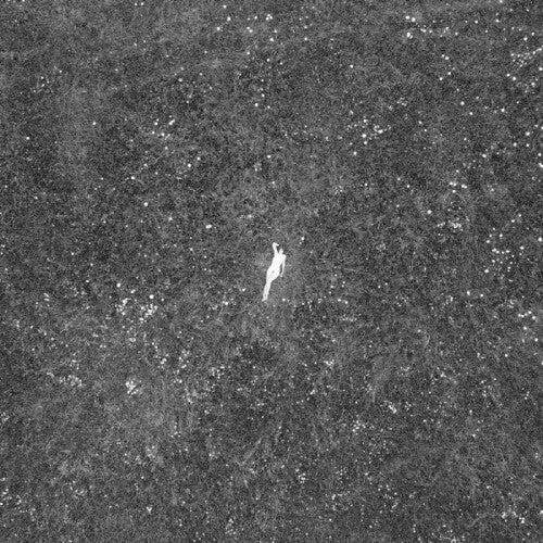 Birds of Passage: The Last of Garden (Vinyl LP)