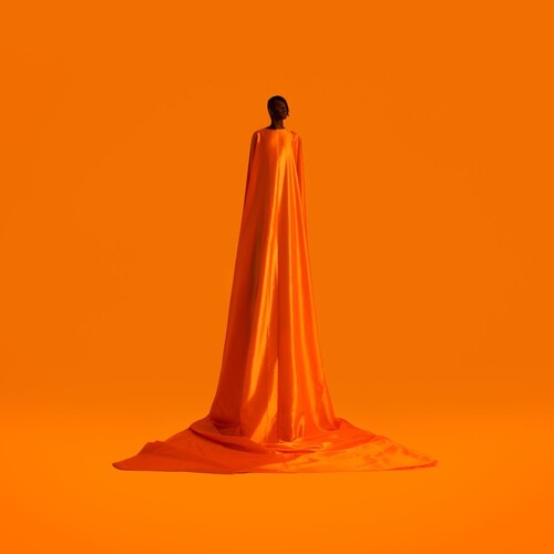 Snow, Wayne: Figurine (Vinyl LP)